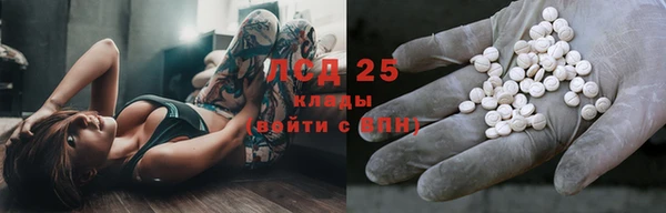 дживик Абинск