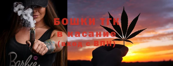 дживик Абинск