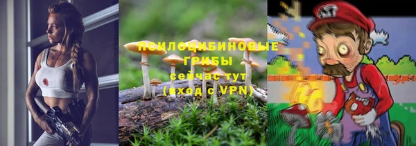 хмурый Абаза