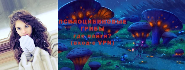 дживик Абинск