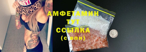 хмурый Абаза